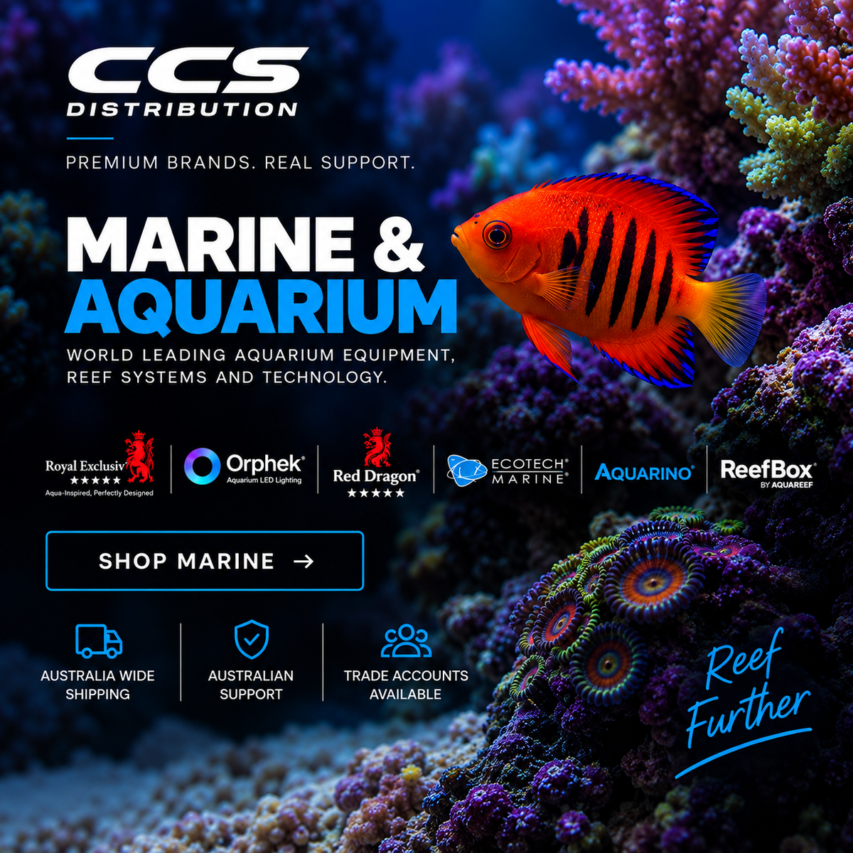 Aquarium Products