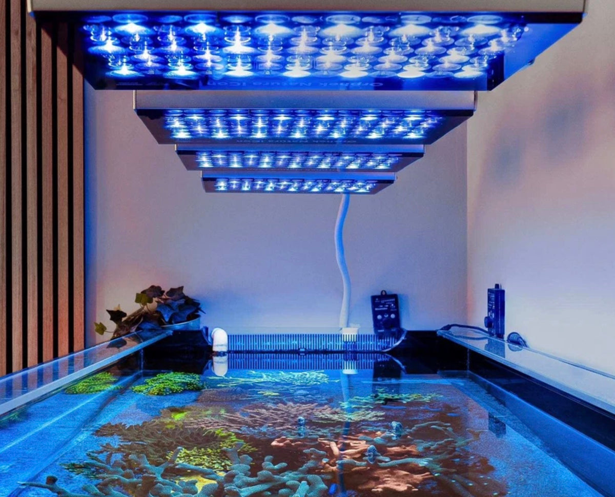 Orphek Natura iCon Reef Aquarium LED Light